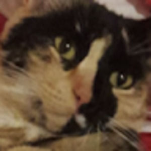 Meet your Posher, Vanessa